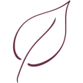 Burgundy leaf outline on transparent background